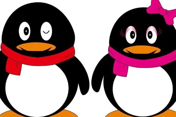 网易云社交账号是什么?